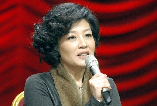 哈文:语言类节目增至两小时 央视拆门办春晚